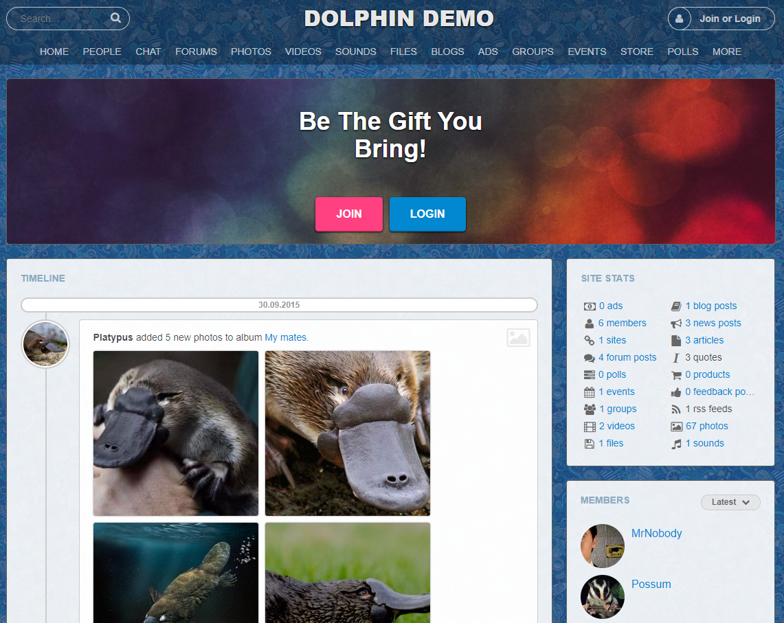 dolphin dating site