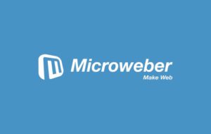 Image result for microweber