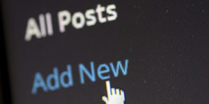 wordpress add posts cms